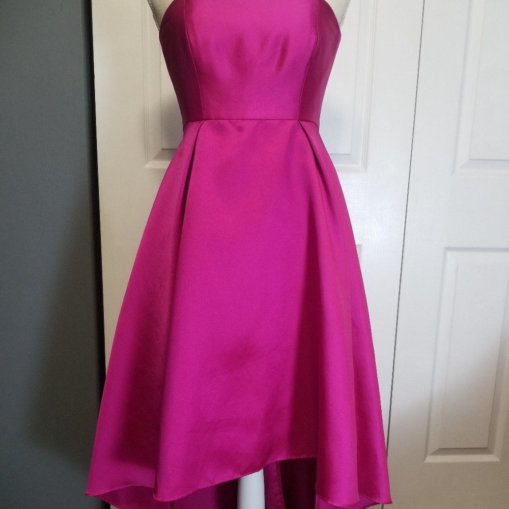 Slate and Willow fuchsia high-low dress xs